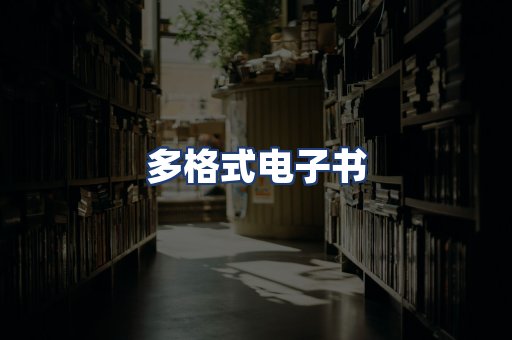 多格式电子书
